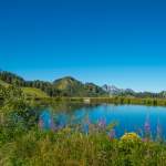 Sommer am Grafenbergsee - Wagrain
